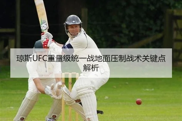 琼斯UFC重量级统一战地面压制战术关键点解析